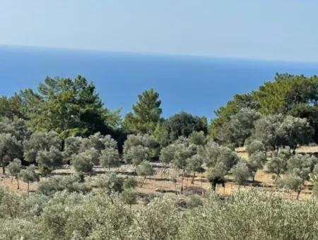 Land For Sale With Sea View Of Çandir