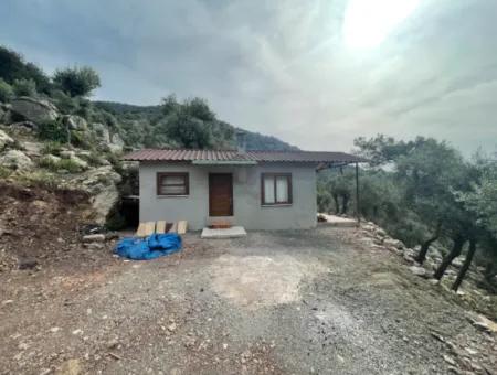 Olive House With Sea View In Ekincik Is For Sale