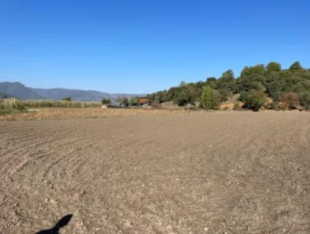 6254M2 Field For Sale Near Dalyan In Eskiköy