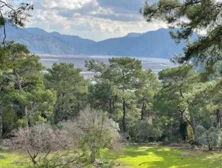 10,707M2 2B Field For Sale With Sea Lake View In Çandır