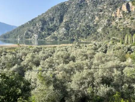 1,136M2 Field Plot For Sale With Çandır Lake View