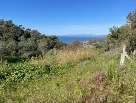 Village House For Sale In 4,400M2 Land With Full Sea View In Gökbel