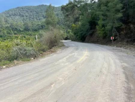 5000M2 Field For Sale At The Beginning Of The Road In Çandır