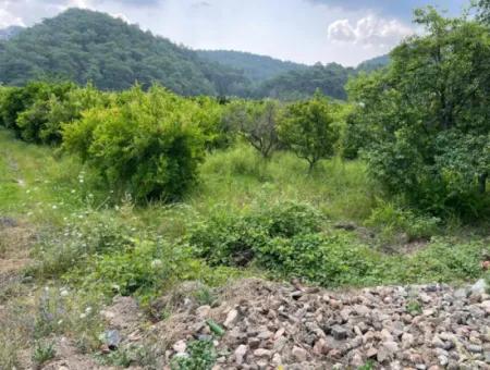 7800M2 Land For Sale At The Beginning Of Iztuzu Beach Road In Gökbel