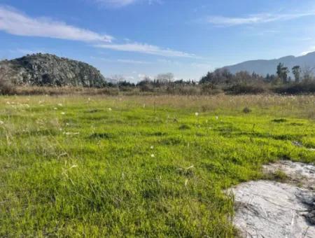 6800 M2 Land For Sale In Dalyan With 5% Residential Zoning