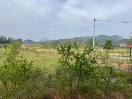 Field For Sale 6500M2 In Dalyan