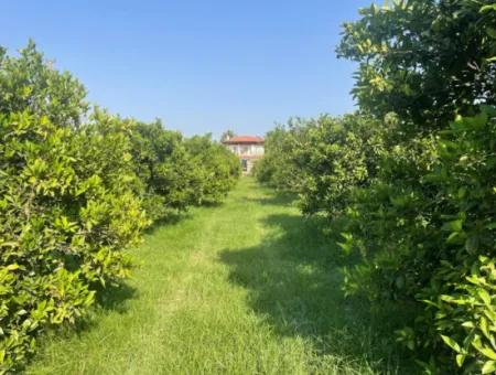 Land For Sale In Gulpinar, Dalyan 722M2