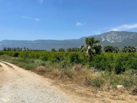 13,500M2 Roadfront Field For Sale In Akyaka Akçapınar