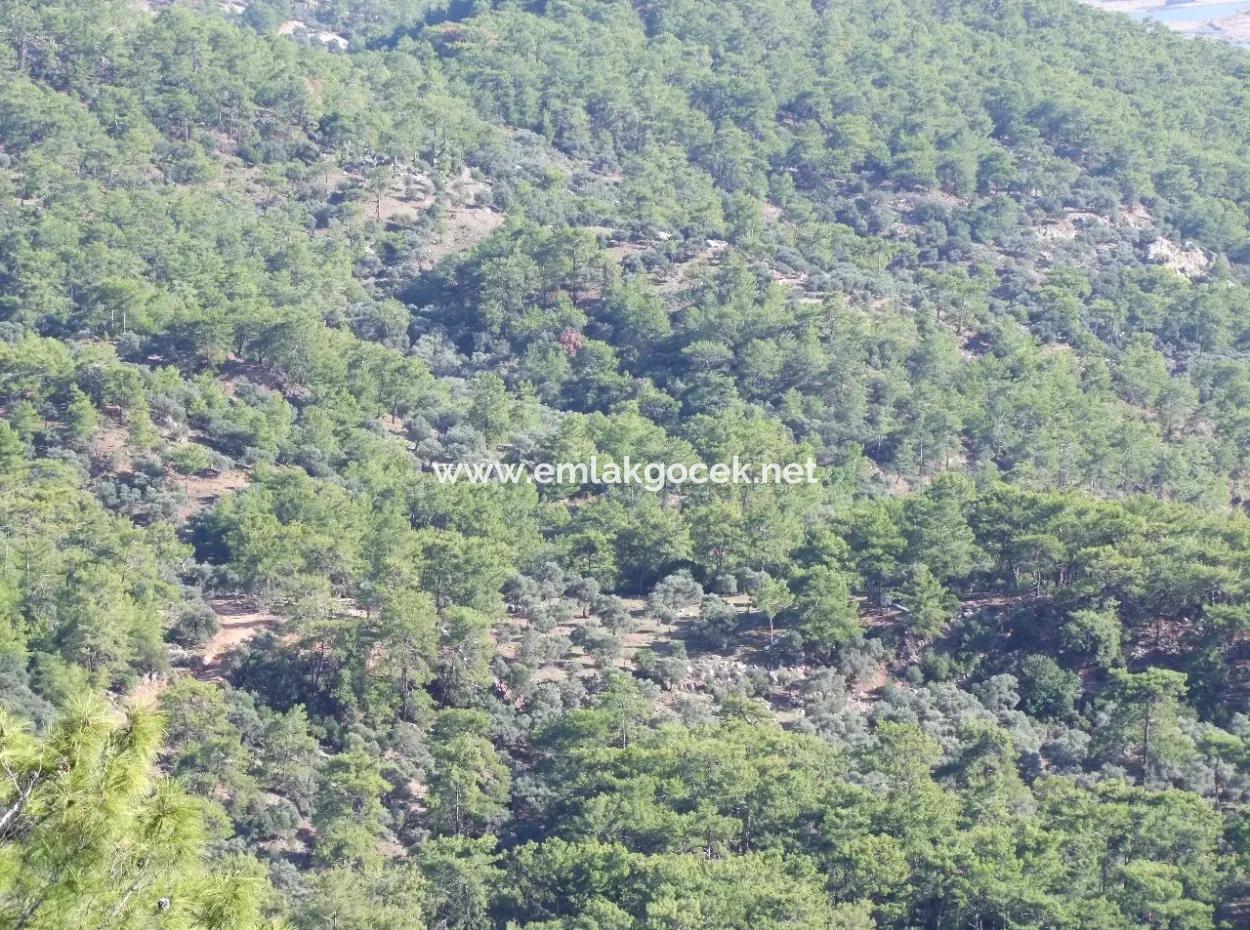 Ekincik Çandır Arasın'da Deniz Manzaralı Kelepir Emlak Satılık Arsa