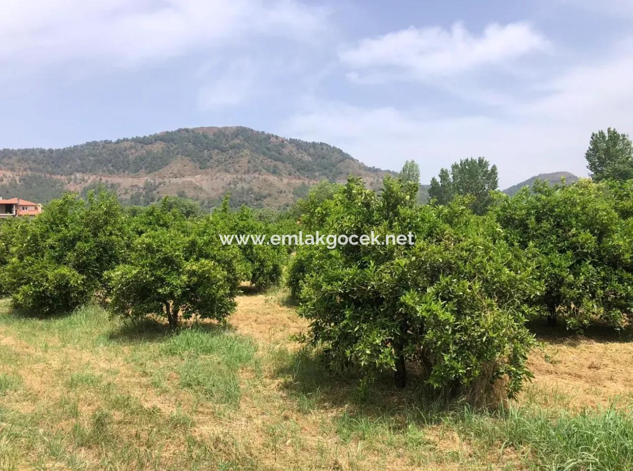 Ekşiliyurtda 1085M2 Satılık Arsa