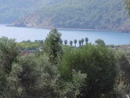 Ekincik Satılık Arsa Deniz Manzaralı 5,391M2 Satılık Arsa