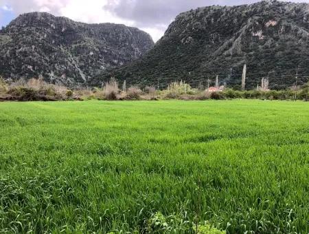 Okçularda Satılık Arsa Marmarlı 1500M2 Satılık Arsa