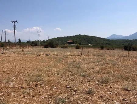 Köyceğiz Zeytinalanı'nda Göl Manzaralı 11.227M2 Satılık Arsa