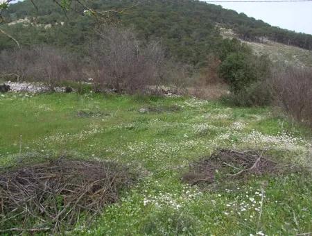 İncırköyde Satılık Arsa Tarla Ferhiye İncirköy Üzümlüde Satılık Arsa