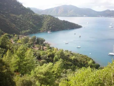 Marmaris Ada Köyde Denize Sıfır 4000M2 Satılık Arsa Marmaris Kelepir Denize Sıfır Satılık Arsa